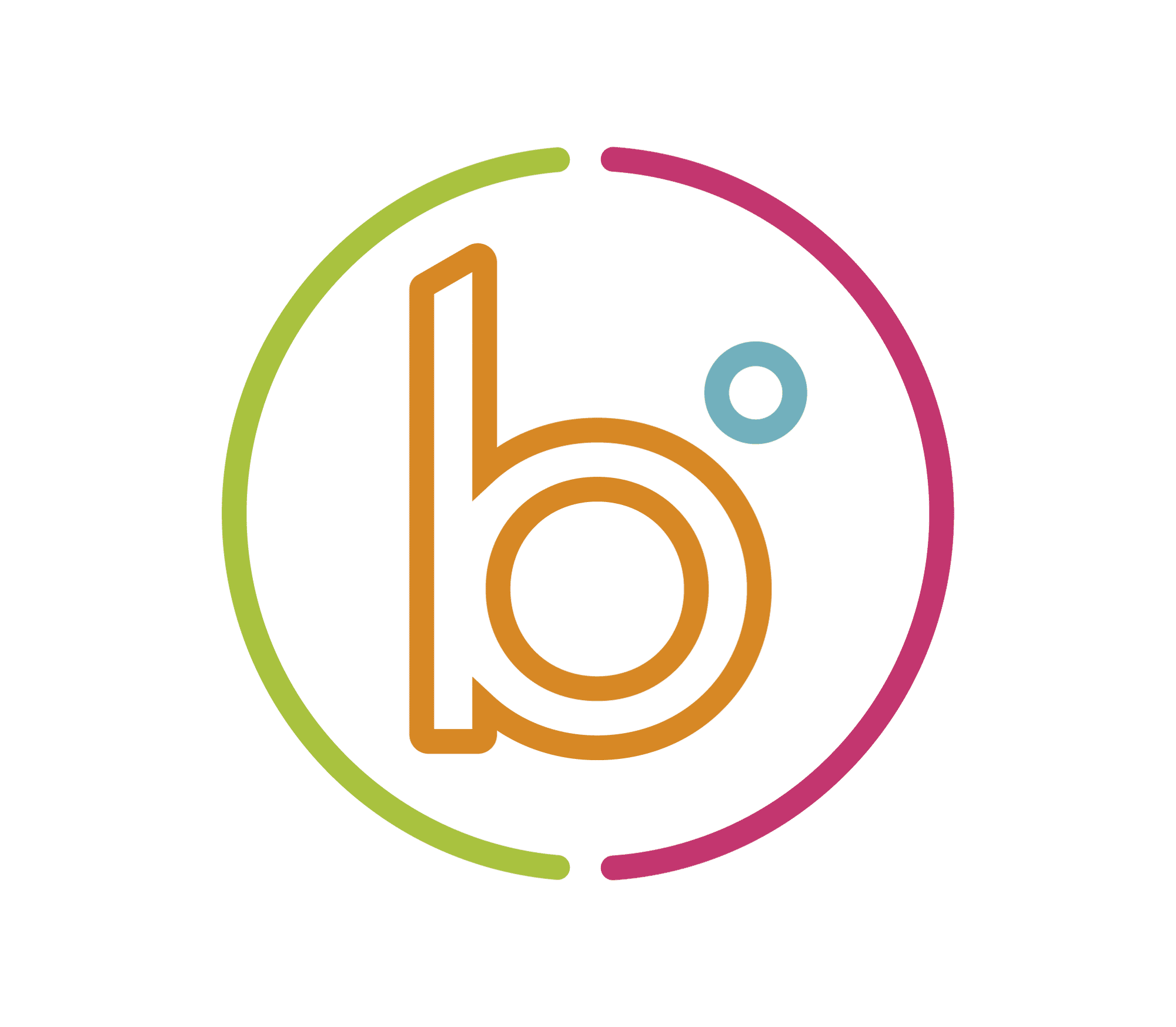 Icon_Boomi_Logo